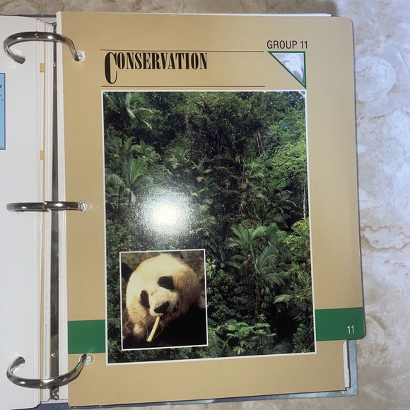 wildlife fact file Sections 6-11, Roughly 350 Cards - Picture 12 of 15